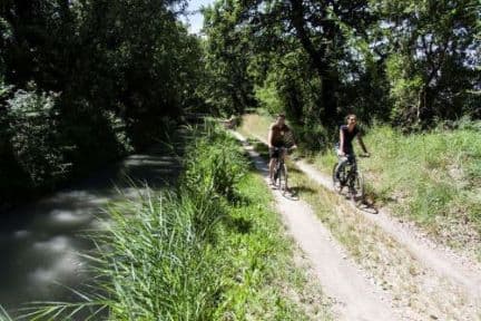 Fietsen met het hele gezin, foto 3