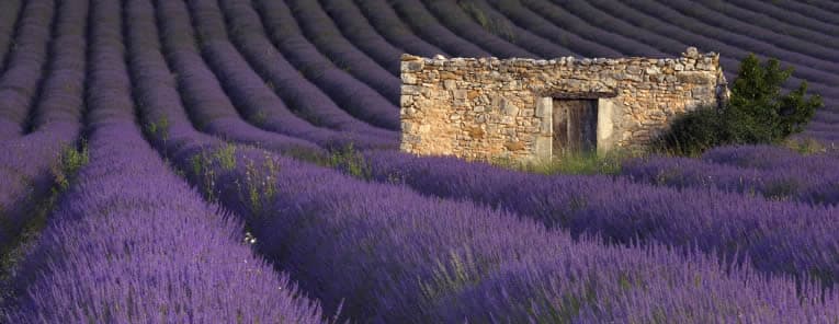 La lavande est le sourire de la Provence ~ Lavendel de glimlach van de Provence, foto 7