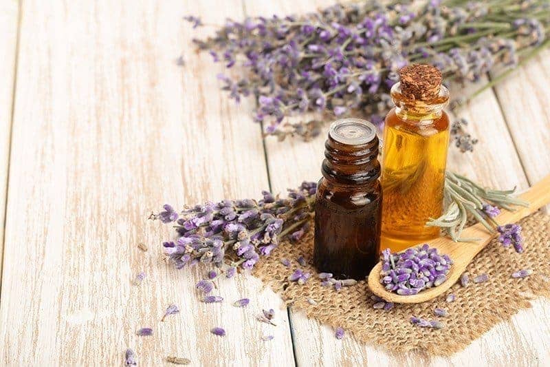 La lavande est le sourire de la Provence ~ Lavendel de glimlach van de Provence, foto 4