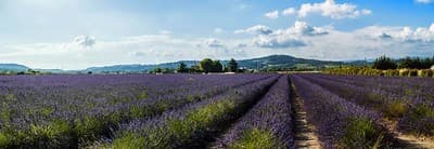 Ontdek de Luberon: charmante dorpjes, natuur en vakantiehuizen, foto 3