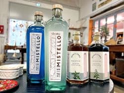Atelier gin à Sault